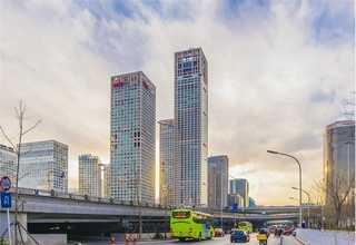 麦格瑞体成分分析与代谢研究