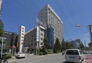 日照大规模蔬菜种植合作