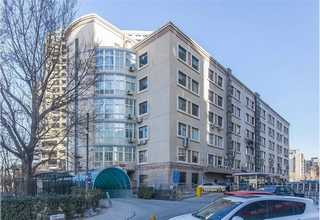 广东本地臭氧机哪家好